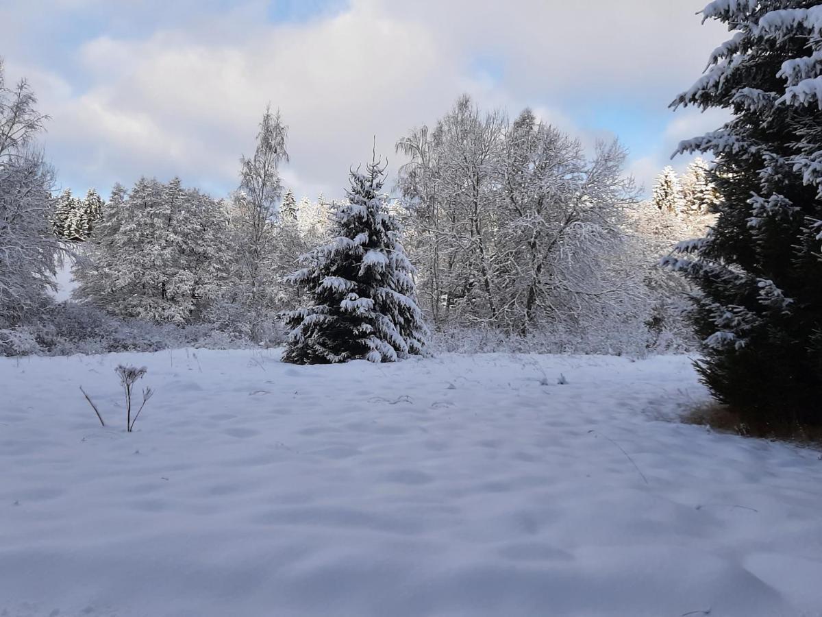 Waldstadl, Andrea's Woidhaisl * Arnbruck