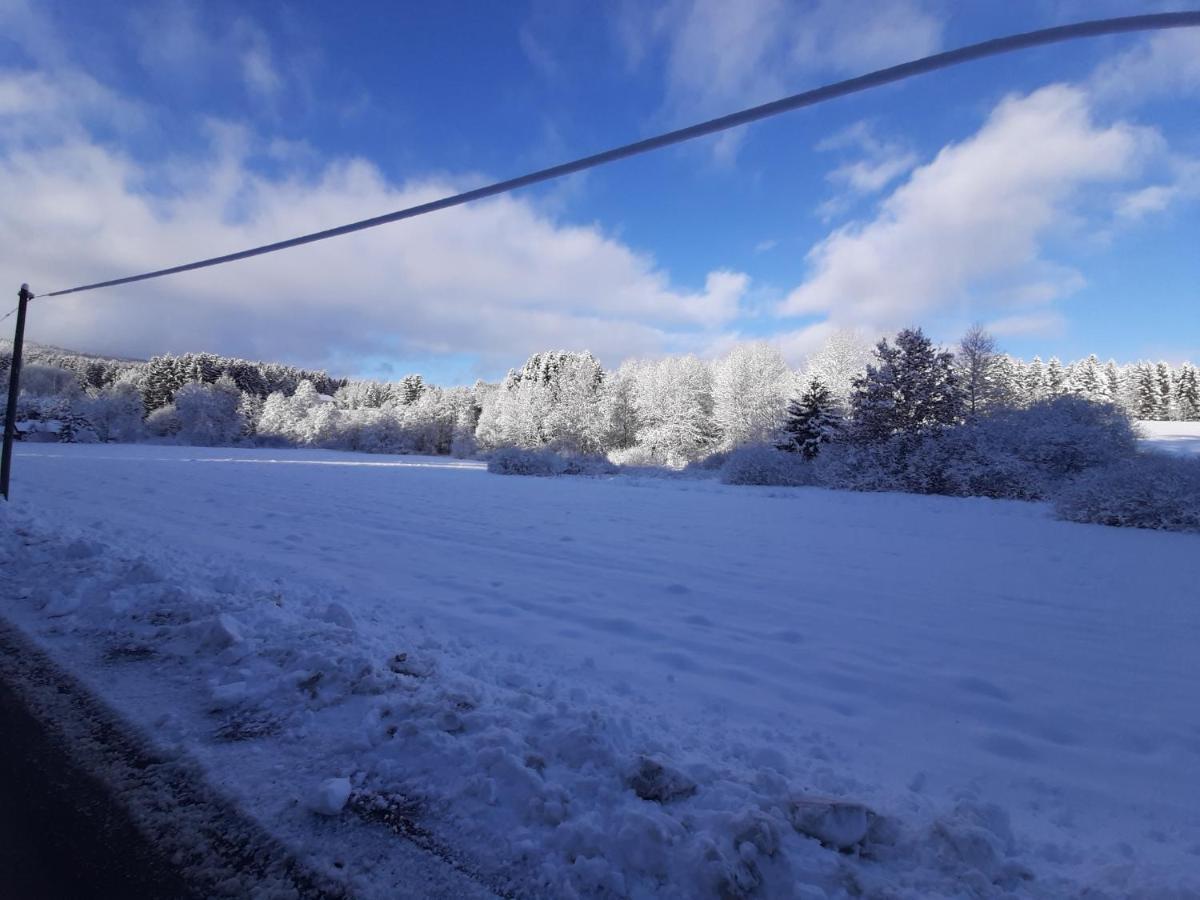 Waldstadl, Andrea's Woidhaisl * Arnbruck