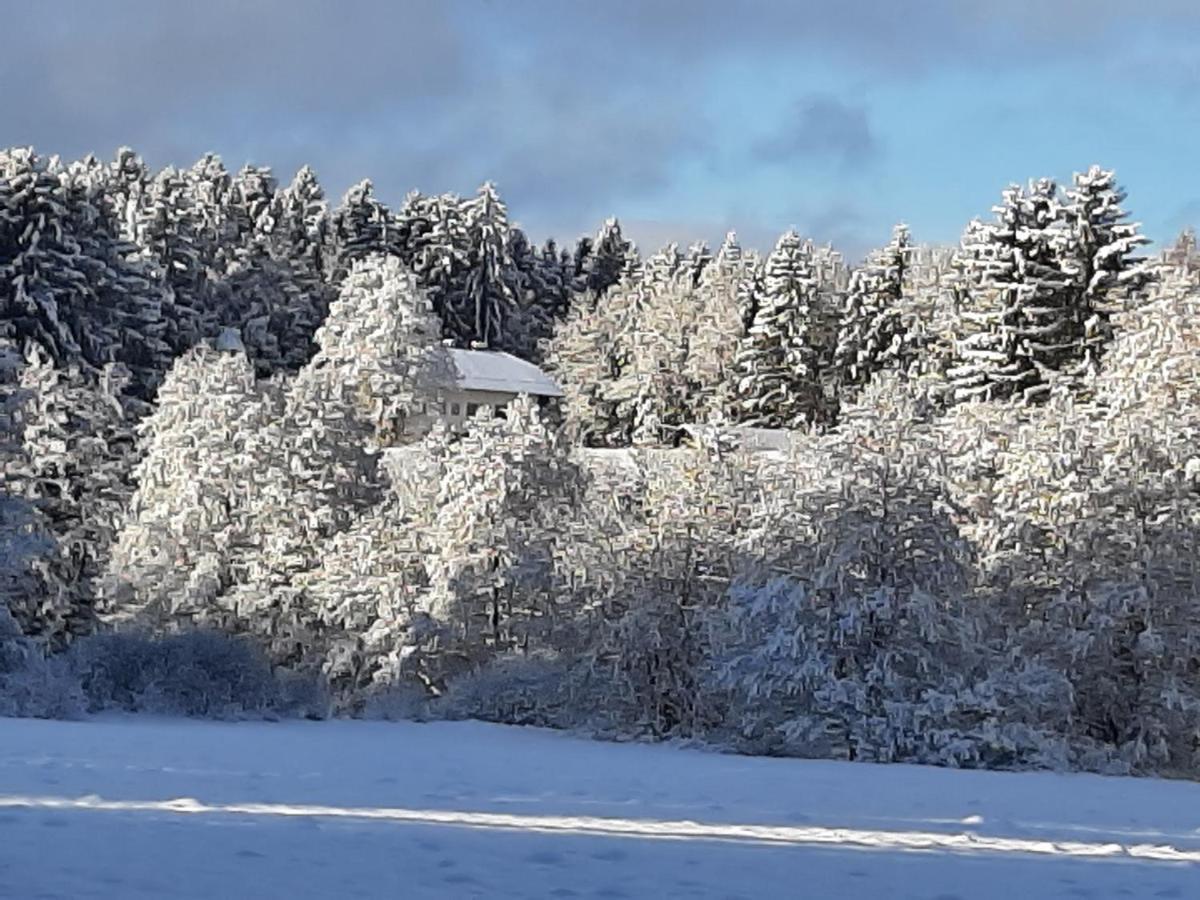 Waldstadl, Andrea's Woidhaisl *